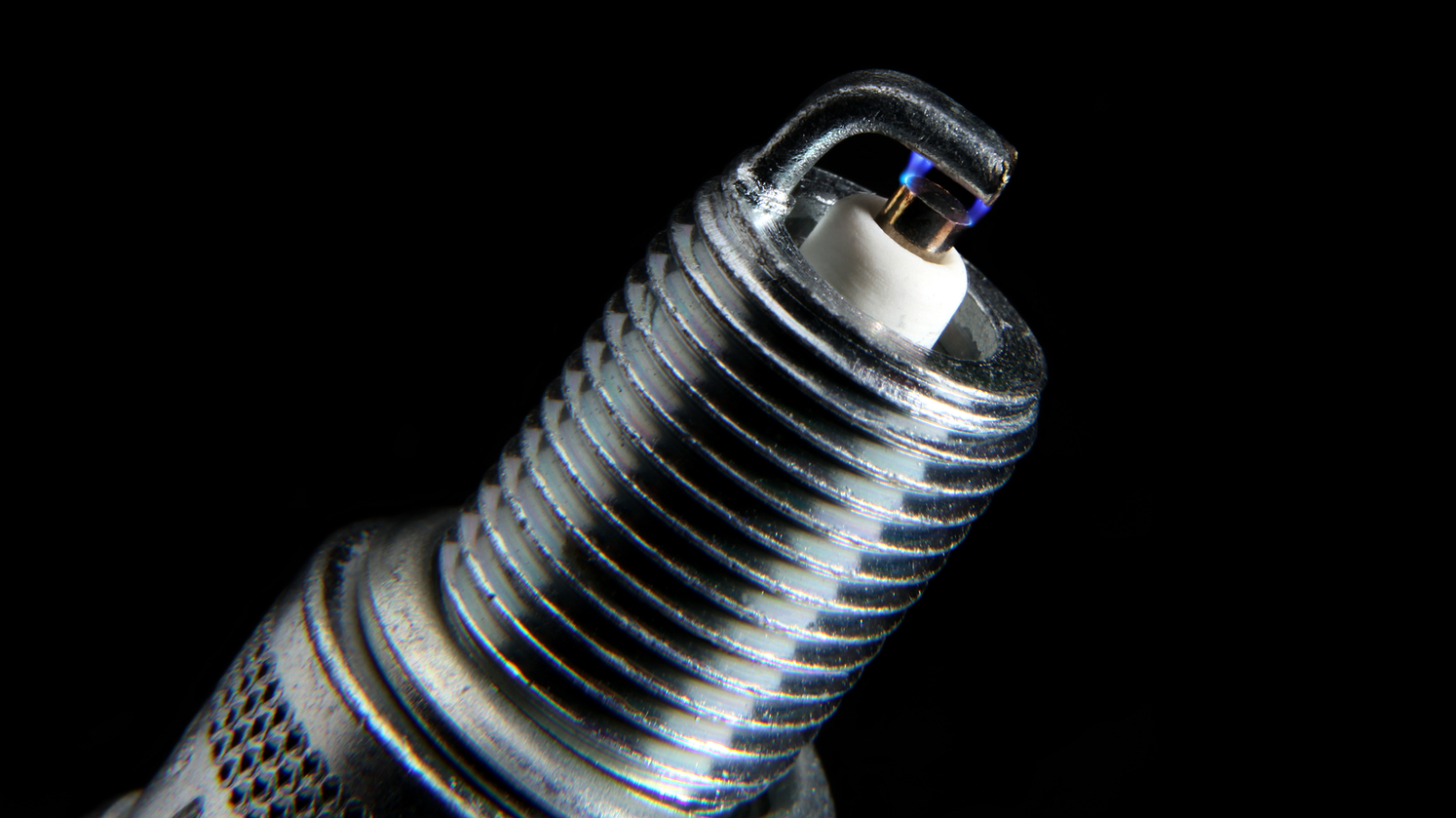 Lead Photo Option 2 644968a4e543e