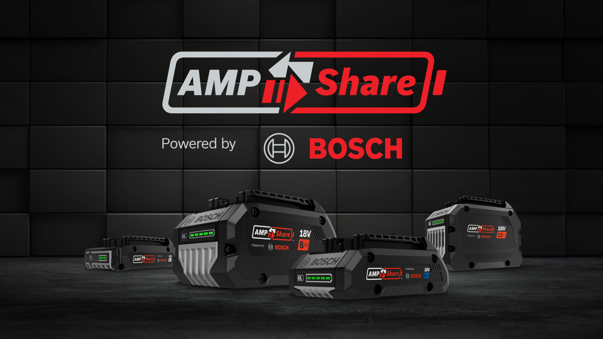 Bosch AMPShare Battery