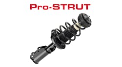 Pro-STRUT Pro-STRUT