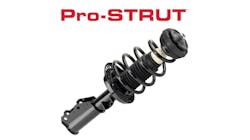 Pro-STRUT Pro-STRUT