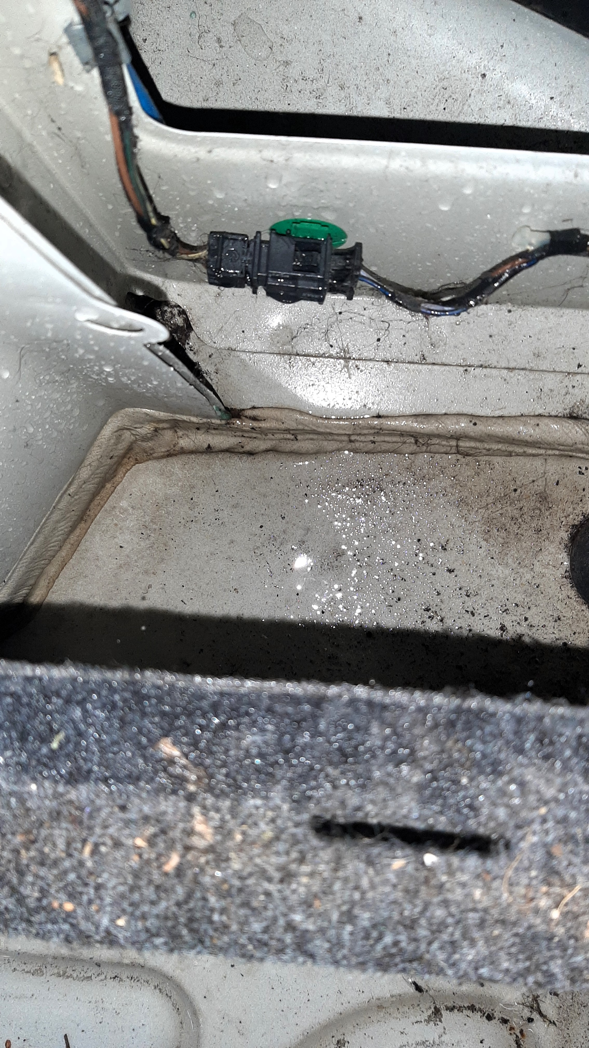 Figure 11- Sure enough, the trunk is full of water.