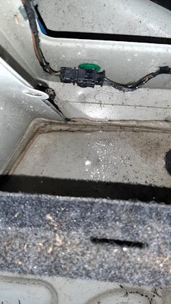 Figure 11- Sure enough, the trunk is full of water. Figure 11- Sure enough, the trunk is full of water.