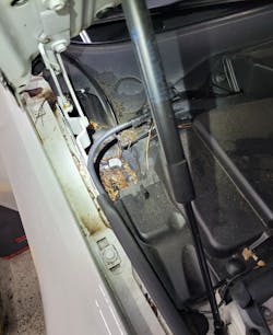 Figure 4- Debris present makes a clogged sunroof drain a likely suspect. Figure 4- Debris present makes a clogged sunroof drain a likely suspect.