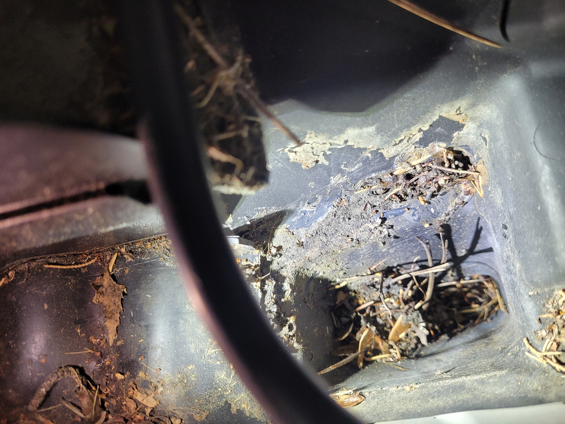 Figure 5- The root cause of many interior water leaks is clogged drains.