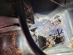 Figure 5- The root cause of many interior water leaks is clogged drains. Figure 5- The root cause of many interior water leaks is clogged drains.