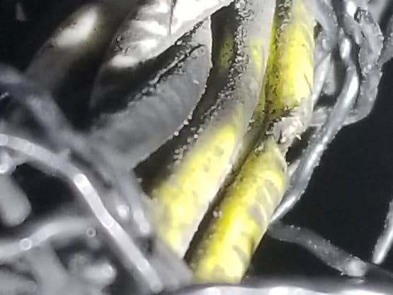 65b80068f14c4e001e5f495f Aspelectrical11