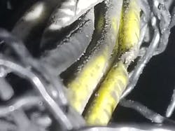 65b80068f14c4e001e5f495f Aspelectrical11 65b80068f14c4e001e5f495f Aspelectrical11