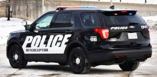 65b806ae245978001e2dc1a2 Ford1