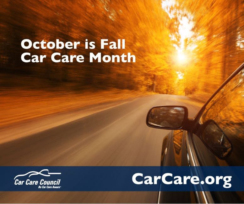65b80ae5ae9aec001ea20603 Carcaremonth
