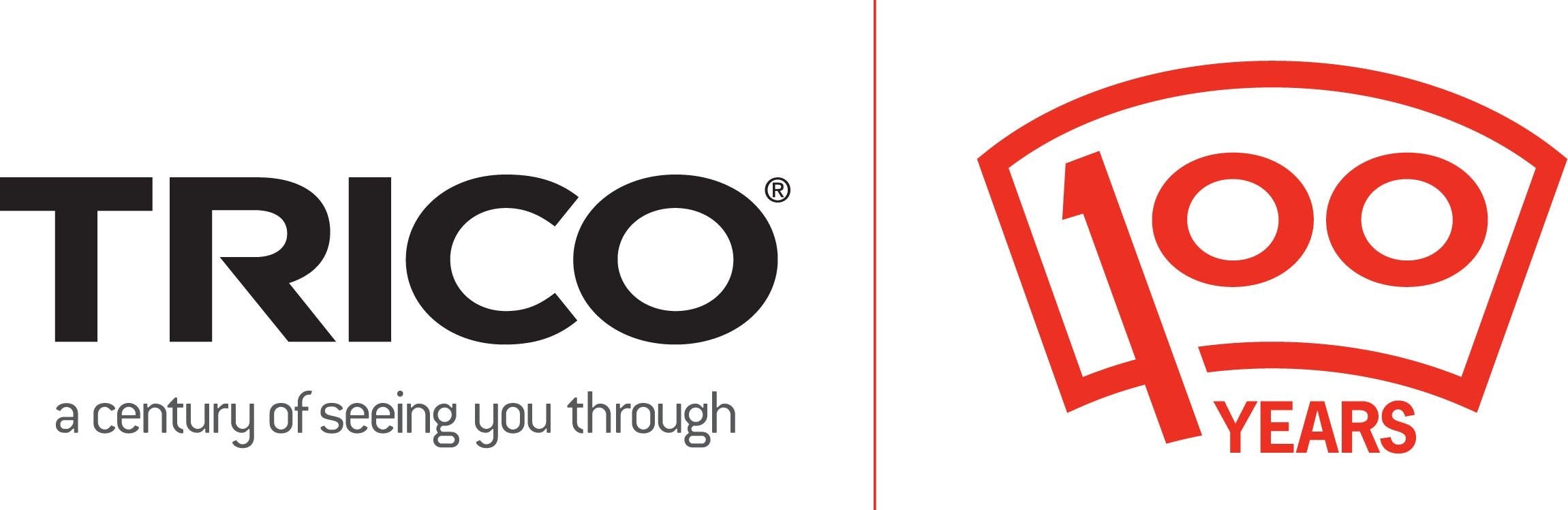 trico-encourages-drivers-to-change-your-clocks-change-your-blades