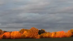 celebrate-fall-car-care-month-in-five-minutes-or-less