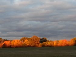 65b82e2e70a39c001ea0b822 Celebratefallcarcaremonthinfiveminutesorless 65b82e2e70a39c001ea0b822 Celebratefallcarcaremonthinfiveminutesorless