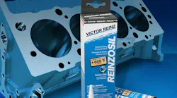 Reinzosil-Cover-608-v1