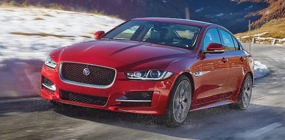 3Jaguar