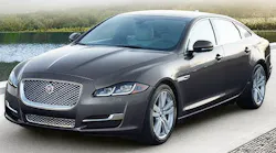 9Jaguar