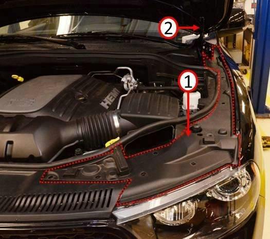 65b83fe10fe93a001e9ec305 Noisydodge