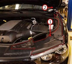 65b83fe10fe93a001e9ec305 Noisydodge 65b83fe10fe93a001e9ec305 Noisydodge