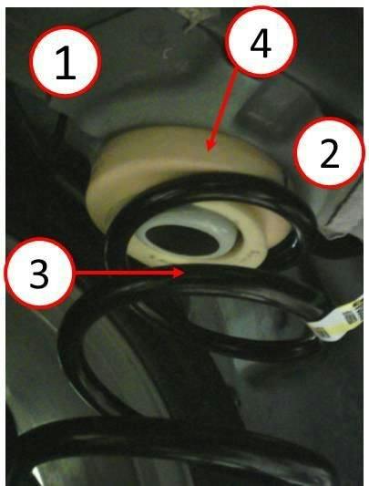 65b840a7fc6479001e678fd1 Springhassprung