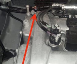 65b840ae23e388001e824d68 Rubbedthewrongway 65b840ae23e388001e824d68 Rubbedthewrongway