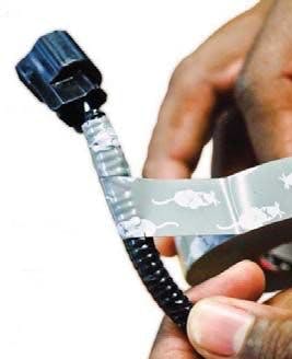 65b841260e36b1001e8175af Rodenthotsauce