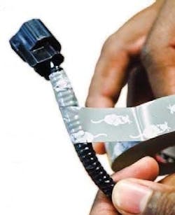 65b841260e36b1001e8175af Rodenthotsauce 65b841260e36b1001e8175af Rodenthotsauce