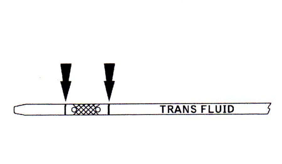 65b8417bb8c992001eccd6b9 Vaguetransmissionstick