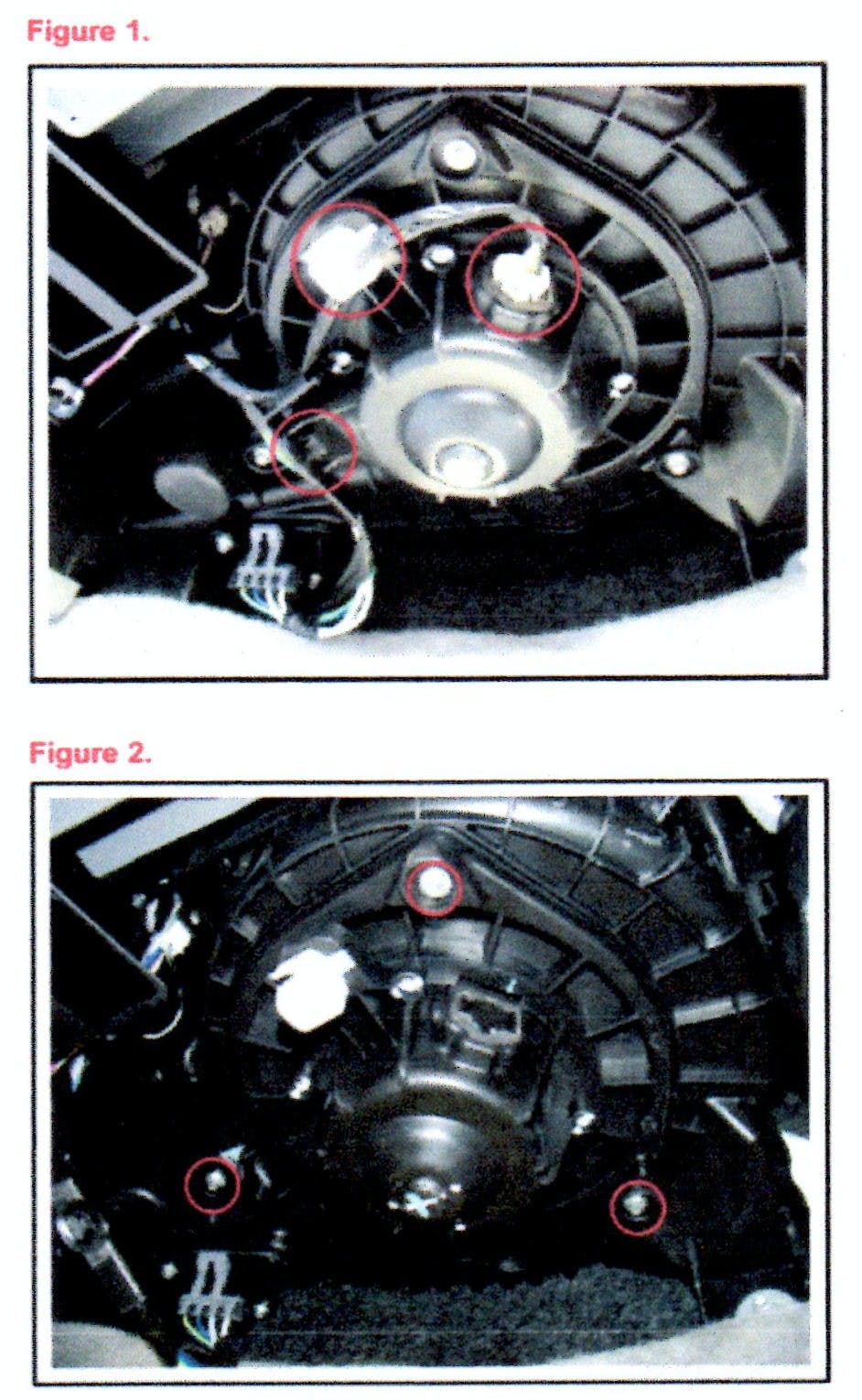 65b84277441052001e460bba Toyotasquealwhencold
