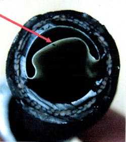 65b8451136a5b3001e2c9d44 Notsocoolbenz 65b8451136a5b3001e2c9d44 Notsocoolbenz