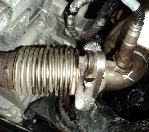 65b847c7b8c992001eccdaeb Caddywithabaddy