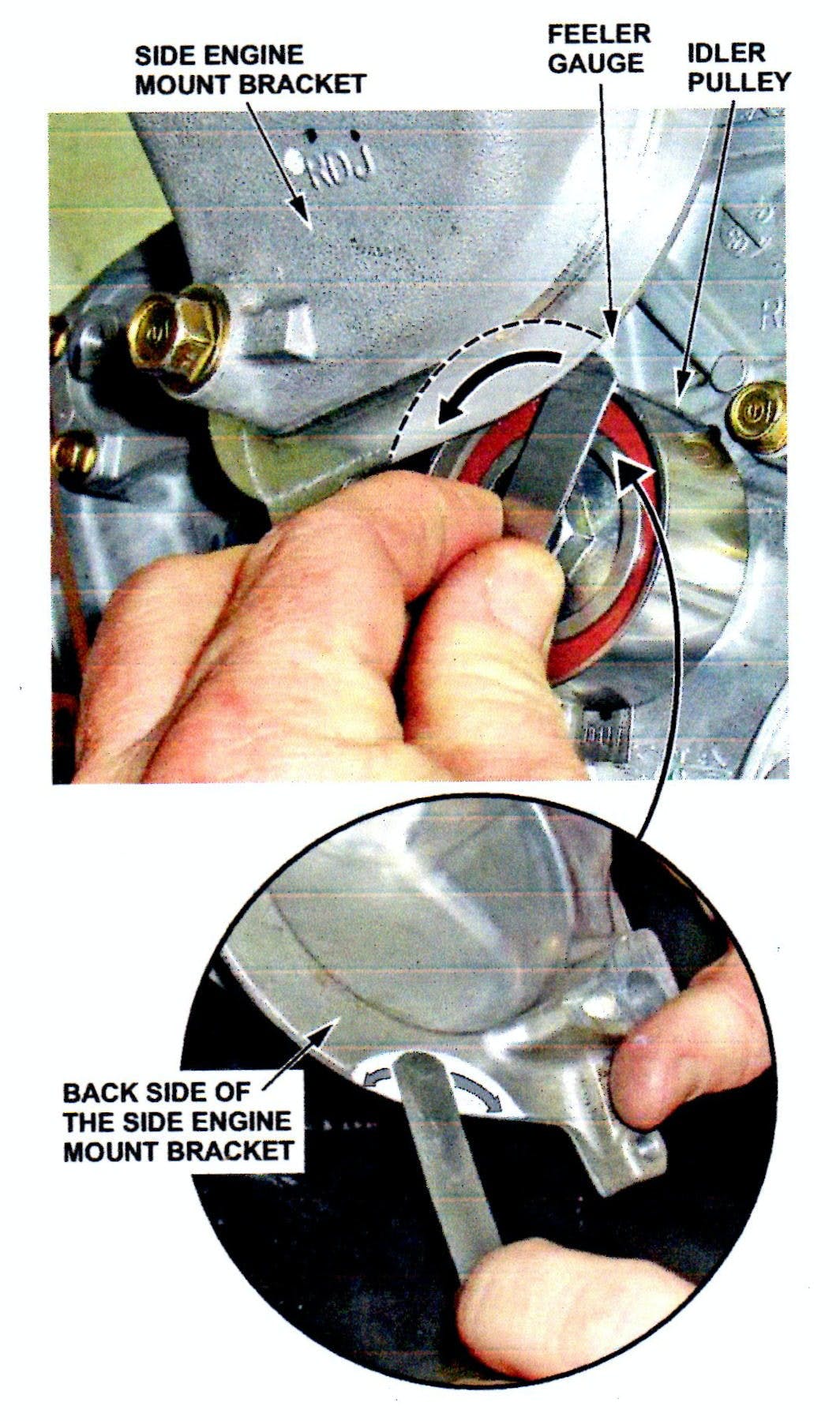 65b84a90441052001e46105f Hondachirpisntabird