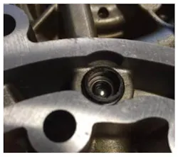 65b84c5e0fe93a001e9ecbb1 Audicamvalve