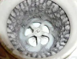 65b84de723e388001e82565c Keepthemovinpartsclean 65b84de723e388001e82565c Keepthemovinpartsclean