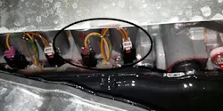 65b84dfc36a5b3001e2ca2d8 Vettetransmission