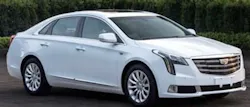 65b84e06c429d6001e08e955 Smellycaddy