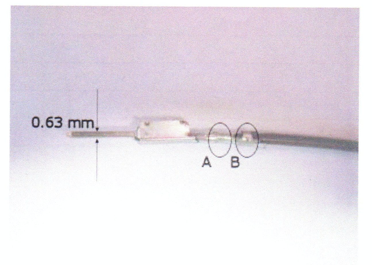 65b850ff9e2366001eae5388 Sporadicaudidtc