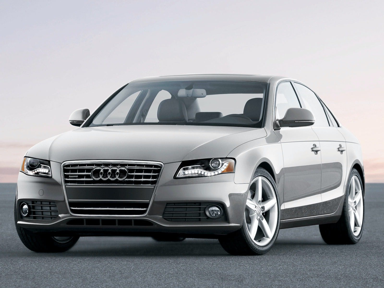 65b85343035767001e713582 Audicantsee