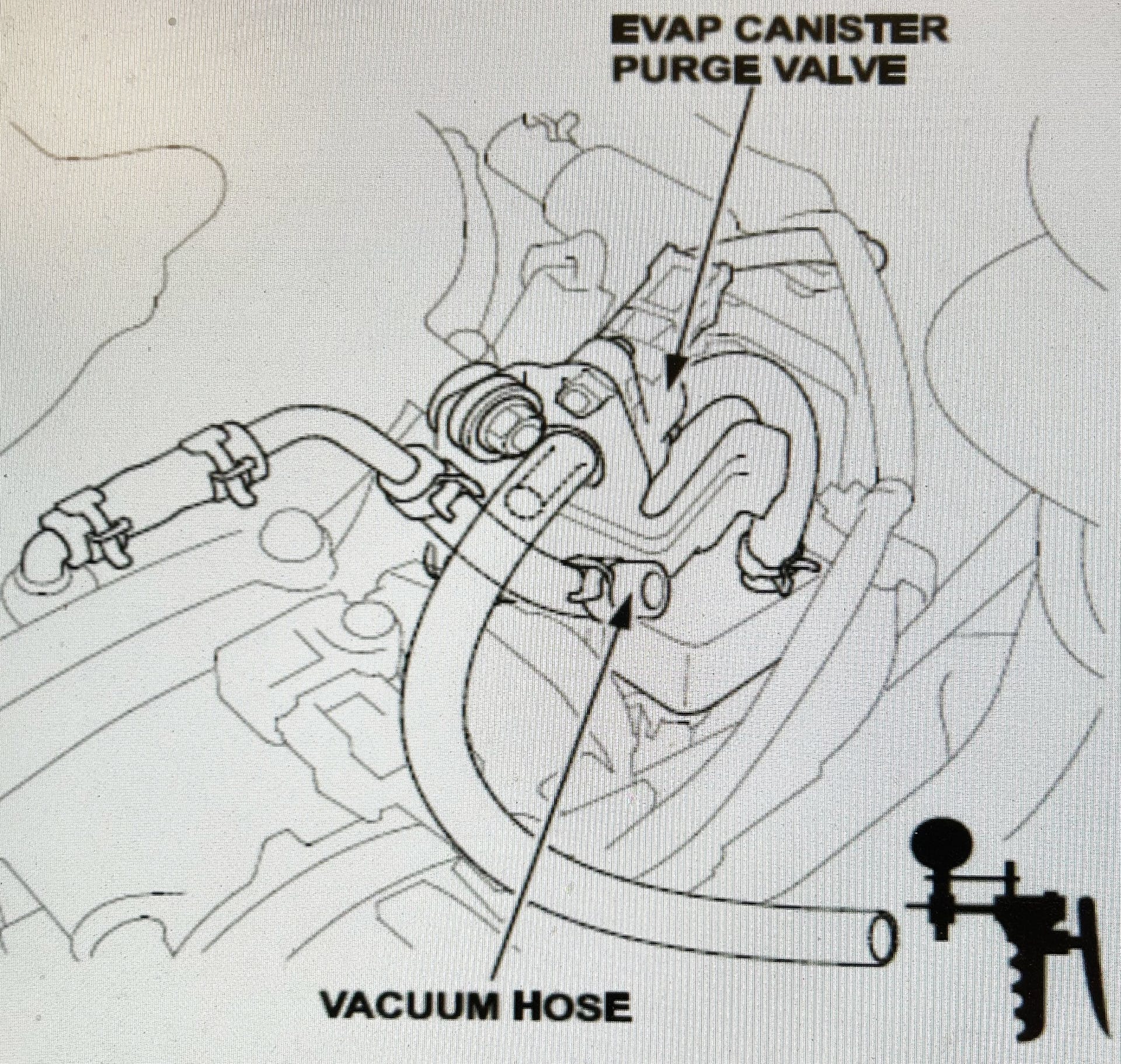 Disconnect the vacuum hose form the engine side of the EVAP canister purge valve and connect a vacuum pump/gauge to the purge control solenoid.