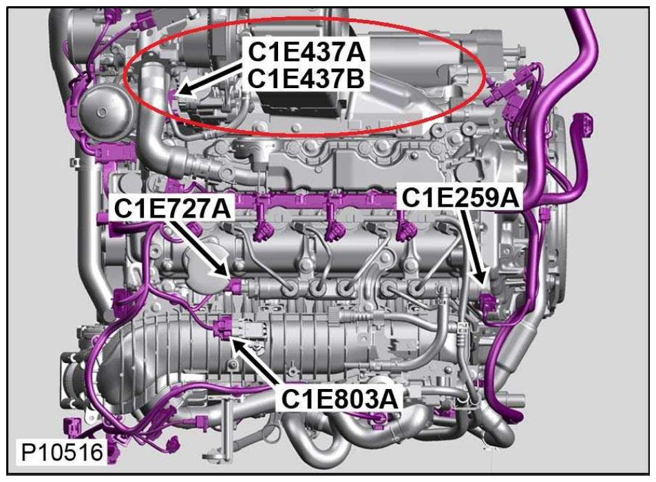 65b85532119459001efb65e2 Loosejagconnection