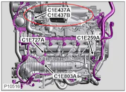 65b85532119459001efb65e2 Loosejagconnection