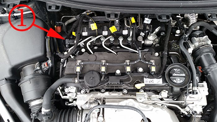 65b85577fc6479001e679d11 Cruzenoisenormal