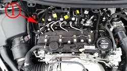 65b85577fc6479001e679d11 Cruzenoisenormal 65b85577fc6479001e679d11 Cruzenoisenormal