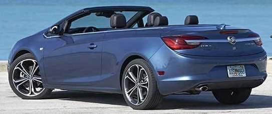 65b85a0436a5b3001e2ca9bd Buickcascadatsb