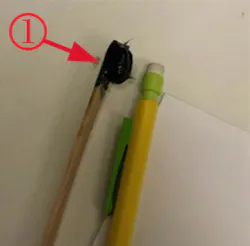 65b85dc60f2136001ee17e1f Cad6 65b85dc60f2136001ee17e1f Cad6