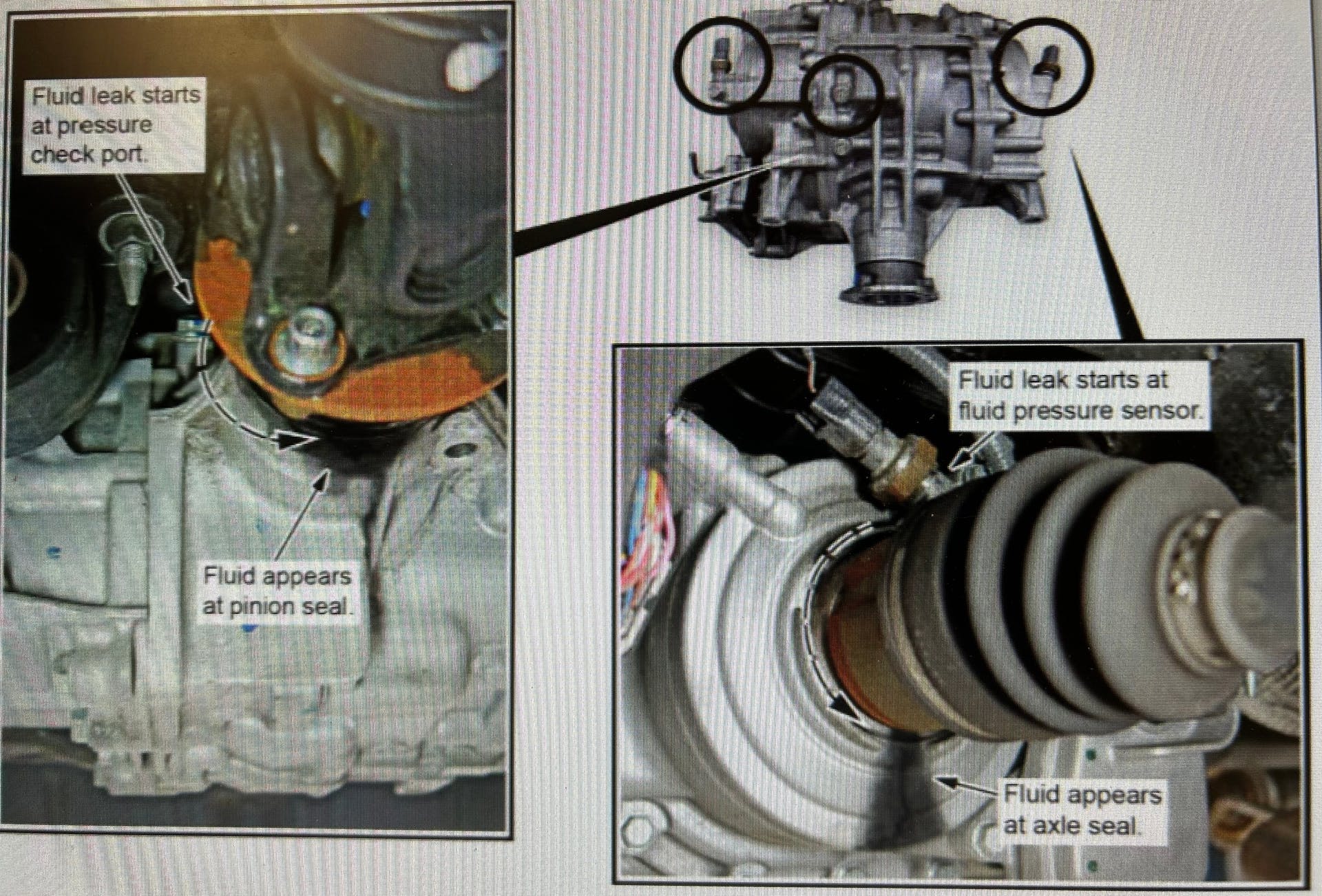 Check areas above the rear differential.