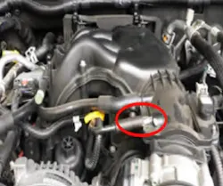 Hose location.