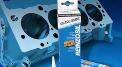 Reinzosil_v1