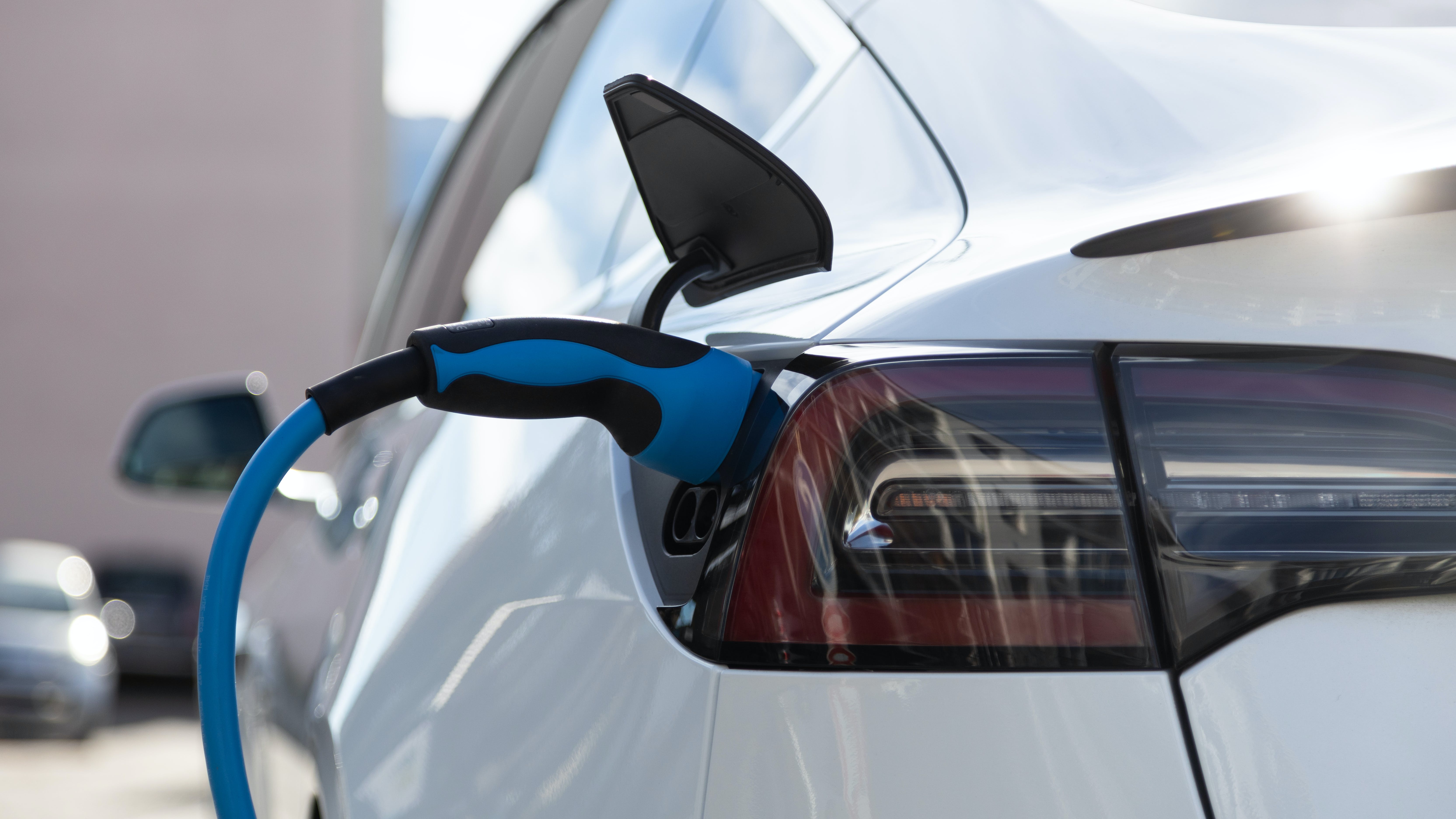 65c2490f4d0df4001e49bfb3 Dreamstime Xxl 173996421