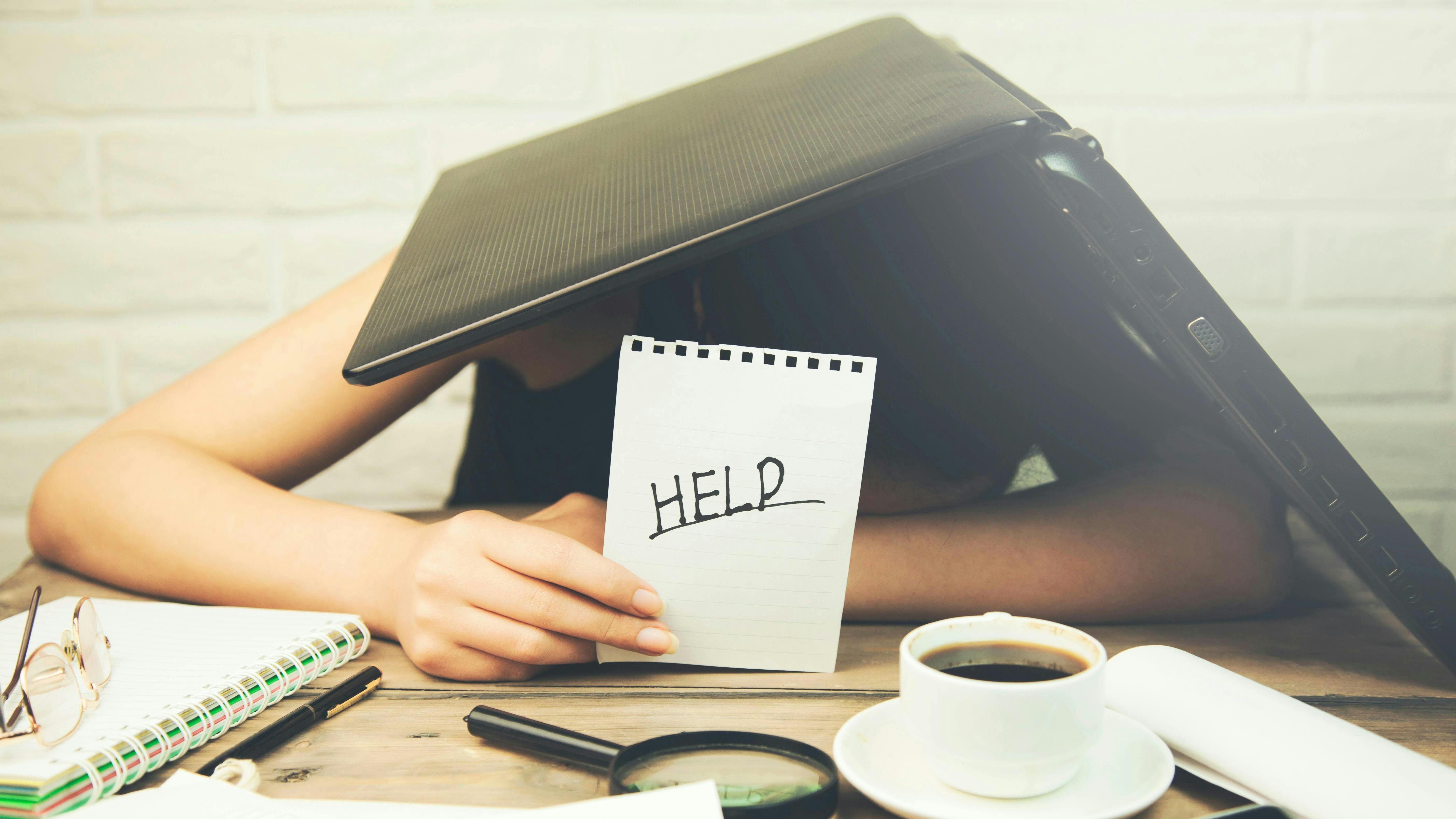 6621a64819e243001e634667 Adobestock 157310228