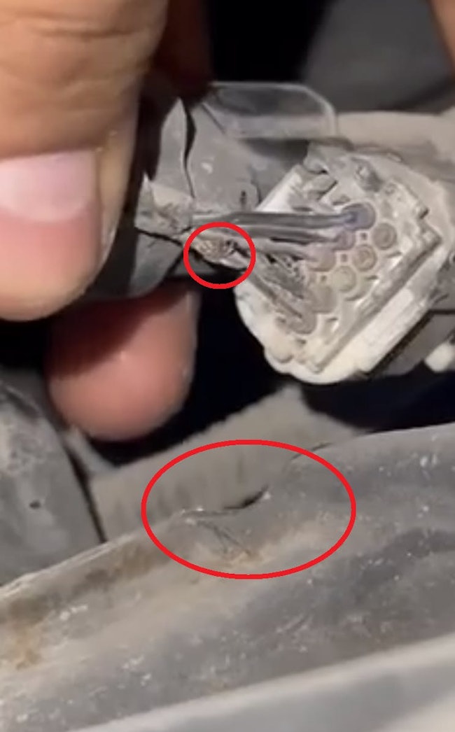This damage to the fuel tank pressure sensor 5v reference wire occurred because the wire melted as it encountered the exhaust system. As the 5v reference wire found a path to ground, it pulled the signal low and created the elusive driveability symptom.