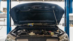 666877b99d84346ad28bd82b Untitled Design 20240611t121329 666877b99d84346ad28bd82b Untitled Design 20240611t121329